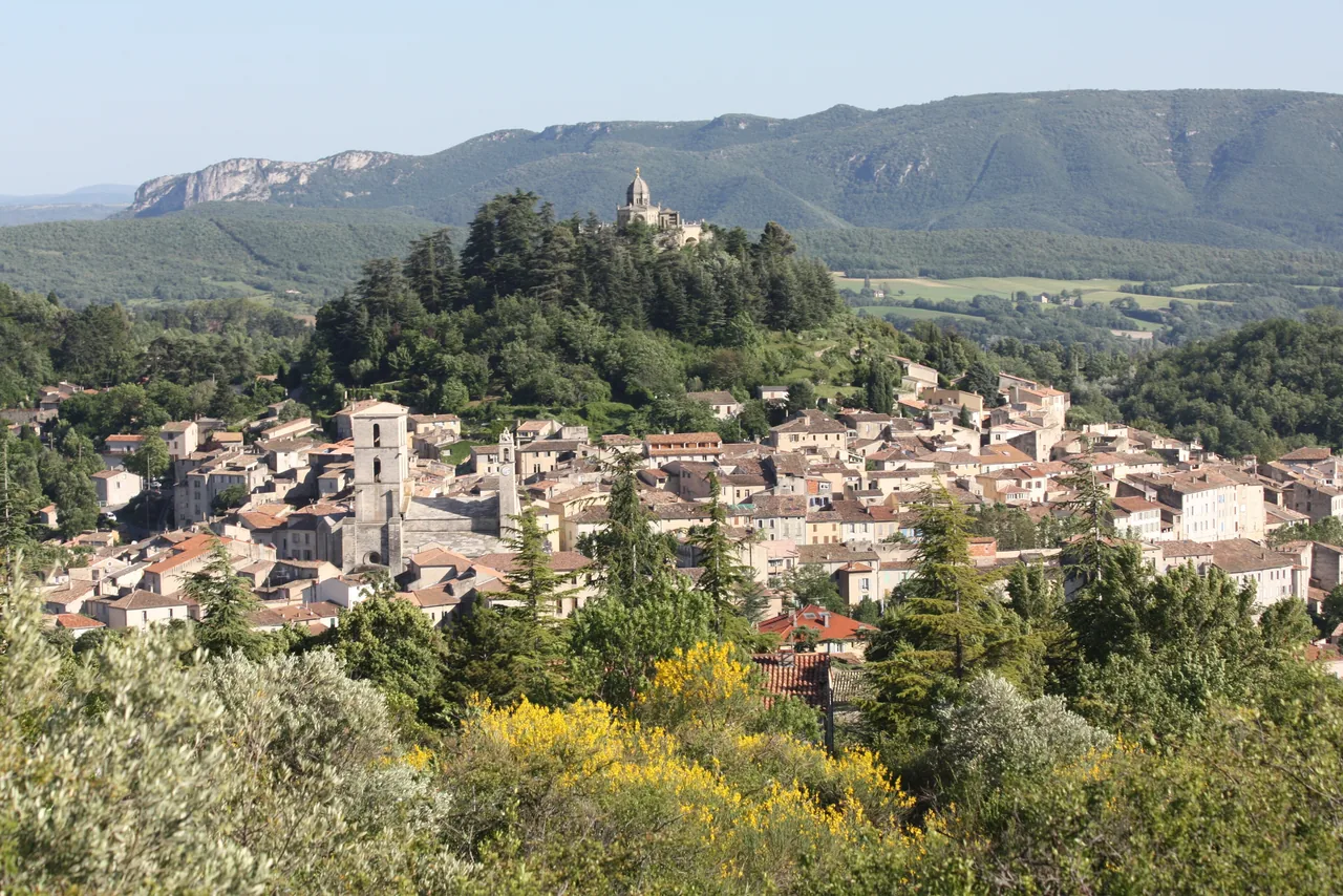 Vue panoramique de Forcalquier en Provence, cité d'art et d'histoire face au Luberon